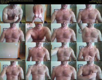 coltmusclebear
