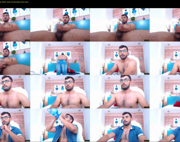 hornybull4ever