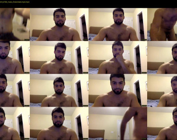 italianstallion252