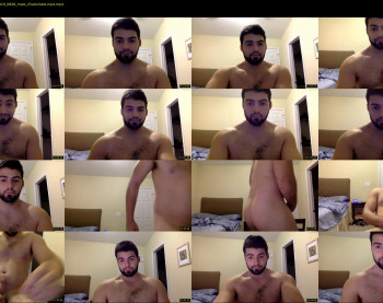 italianstallion252