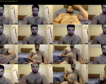 italianstallion252