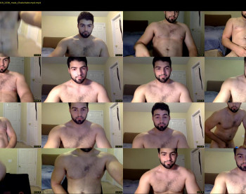 italianstallion252