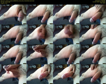 mature_uk_bull