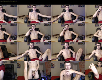 sexual_vibrations