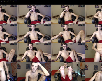 sexual_vibrations