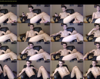 sexual_vibrations