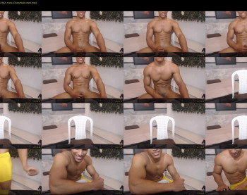 teddyfit19cm