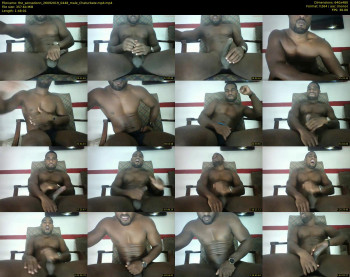 the_sensationn