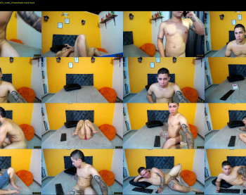 apolotux20