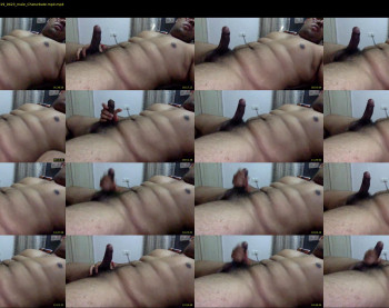 bangalore_cock_