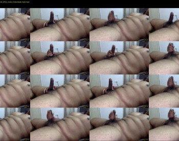 bangalore_cock_
