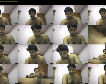 bangalorekastud