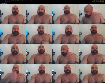 bigbeefusa