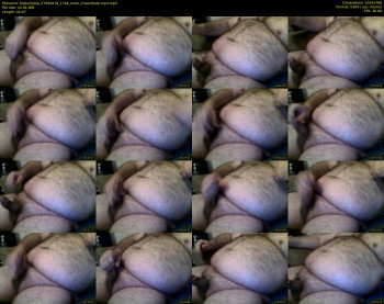 bighairytop