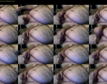 bighairytop