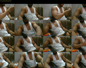 delhibull_
