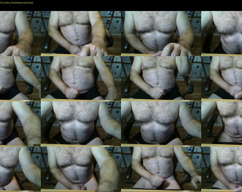 furrybear2