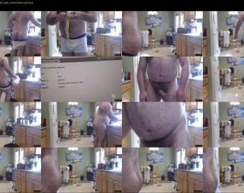 intellibear