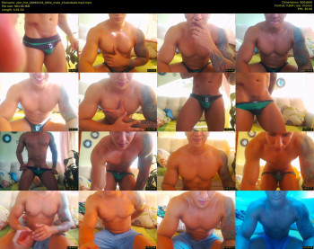 zion_hot