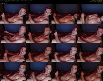 10in_stallion
