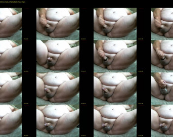 funlovinchub