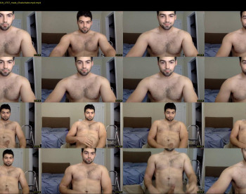 italianstallion252