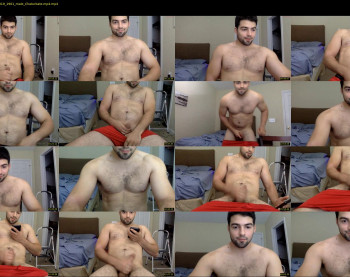 italianstallion252
