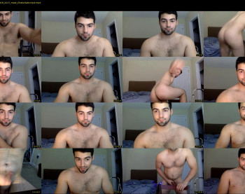 italianstallion252