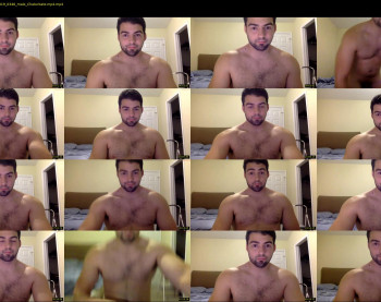 italianstallion252