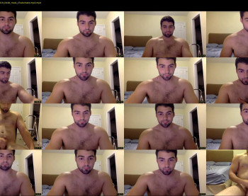 italianstallion252