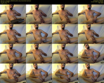 kingcat82