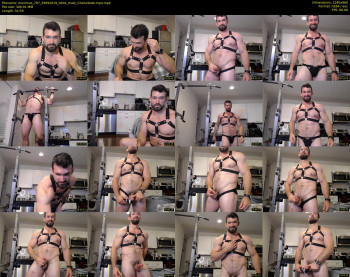maximus_787