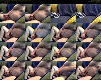 scottbearfun
