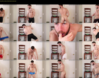 about_the_bulge