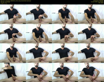 kingcat82