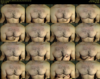 mrchest2017