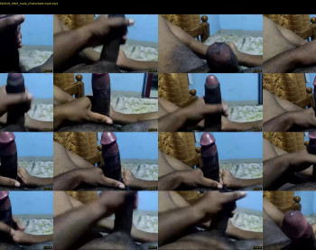 pussylover_mallutom