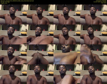 urbandicc214