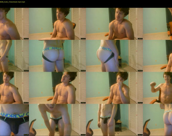 warrenstrips