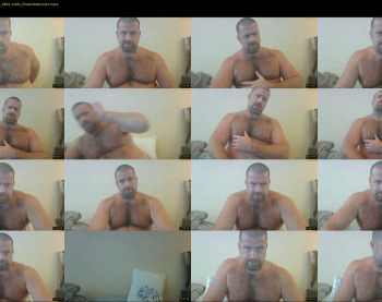 bearjocknwdc