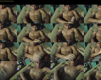 cercris_gif