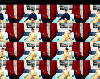 davidsunsugar
