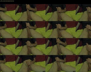 hammertimex