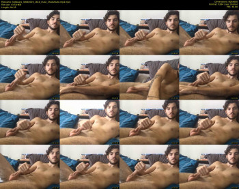 hotbearx