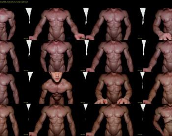 muscle_johnson