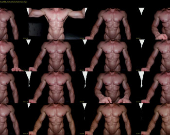 muscle_johnson