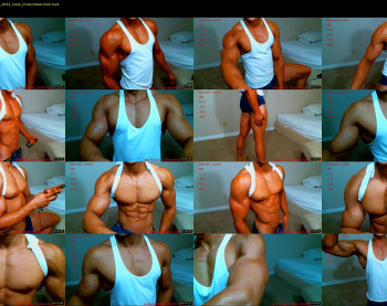 muscletueday