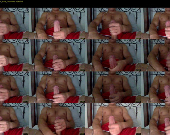 redstag01