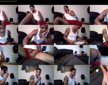 sharkdickwilly