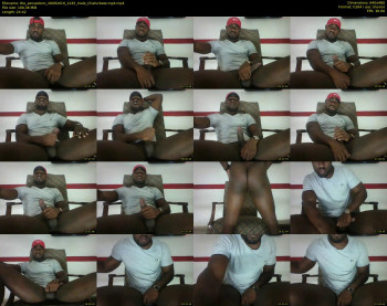 the_sensationn